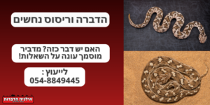 הדברה וריסוס נחשים