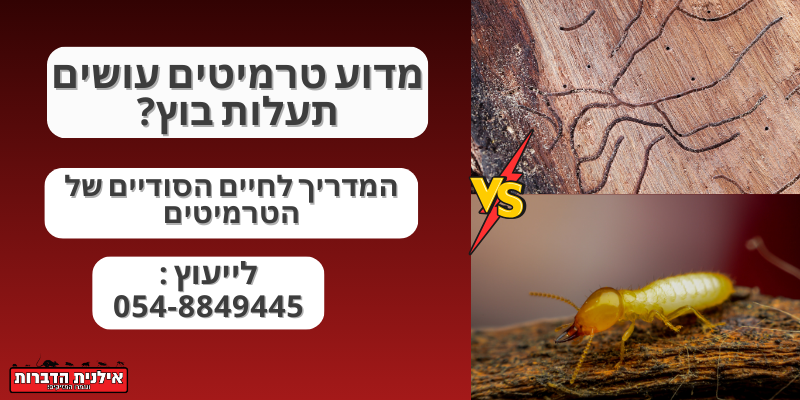 מדוע טרמיטים עושים תעלות בוץ