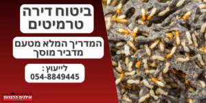 ביטוח דירה טרמיטים