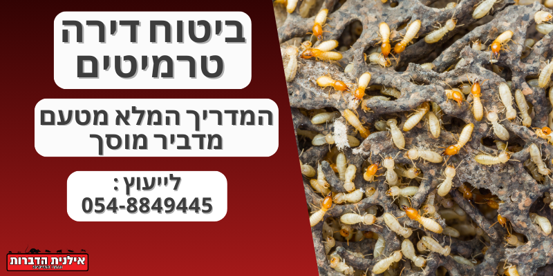 ביטוח דירה טרמיטים