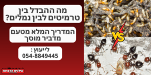 מה ההבדל בין טרמיטים לבין נמלים