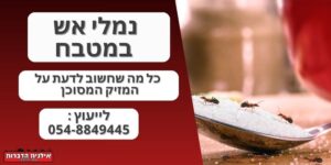 נמלי אש במטבח