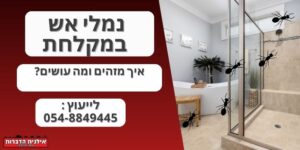 נמלי אש במקלחת