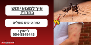 יתוש בחדר