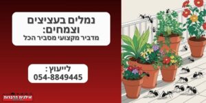 נמלים בעציצים וצמחים