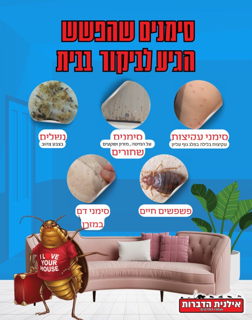 סימנים לפשפש