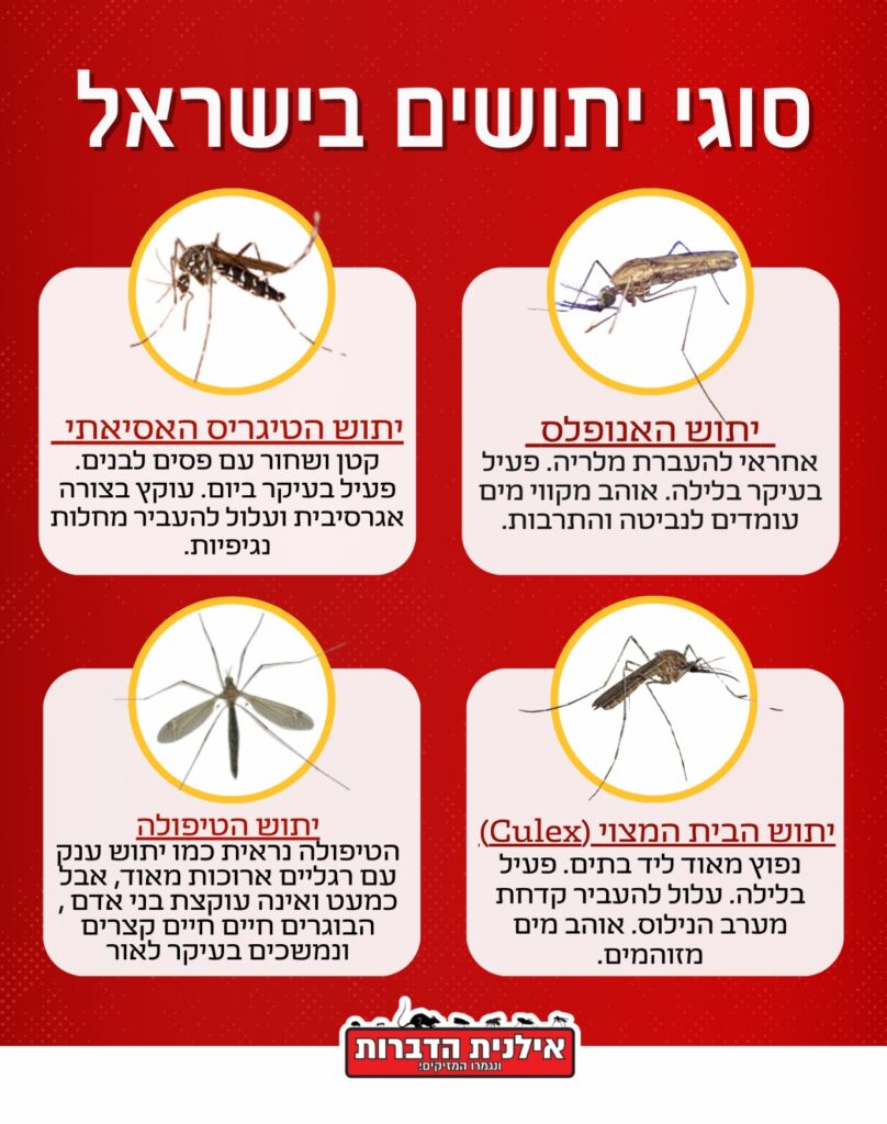סוגי יתושים בישראל