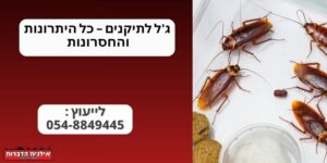 ג'ל לתיקנים – כל היתרונות והחסרונות
