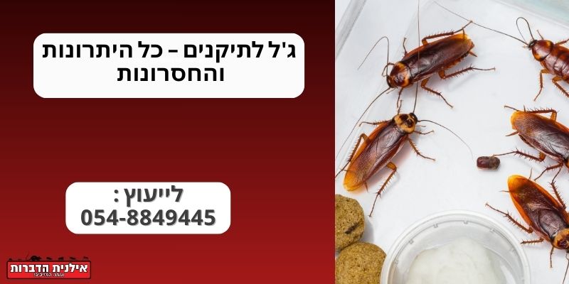 ג'ל לתיקנים – כל היתרונות והחסרונות