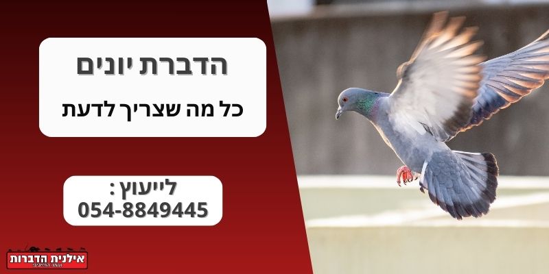 הדברת יונים