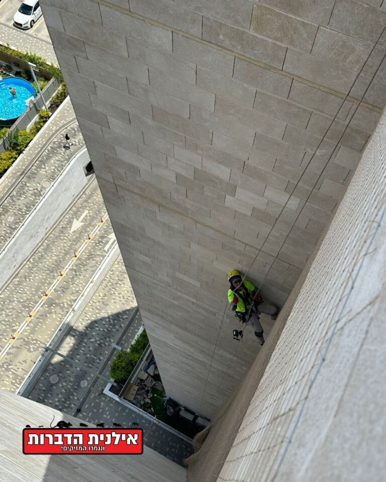 הרחקת יונים