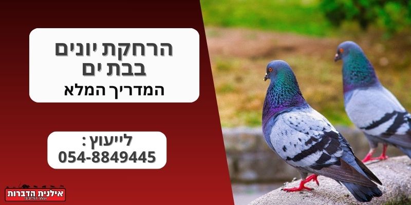 הרחקת יונים בבת ים