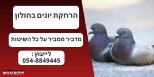 הרחקת יונים בחולון