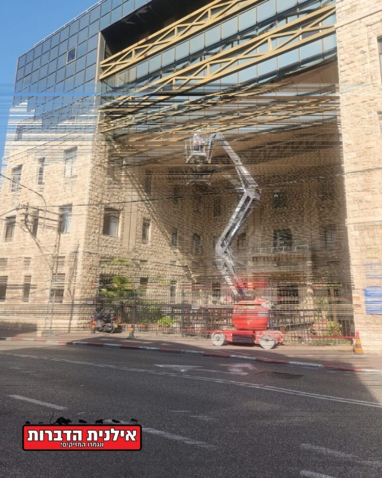 הרחקת יונים בירושלים