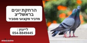 הרחקת יונים בראשל״צ