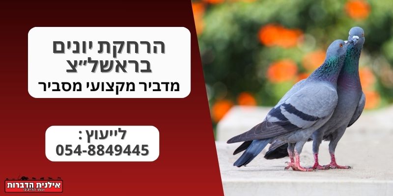 הרחקת יונים בראשל״צ