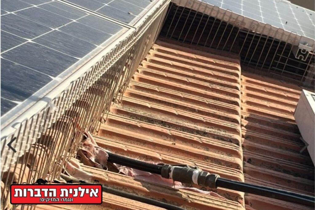 הרחקת יונים מפאנלים סולאריים