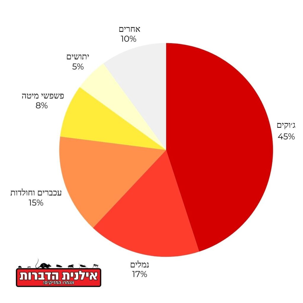 חיפוש מדבירים מורשים