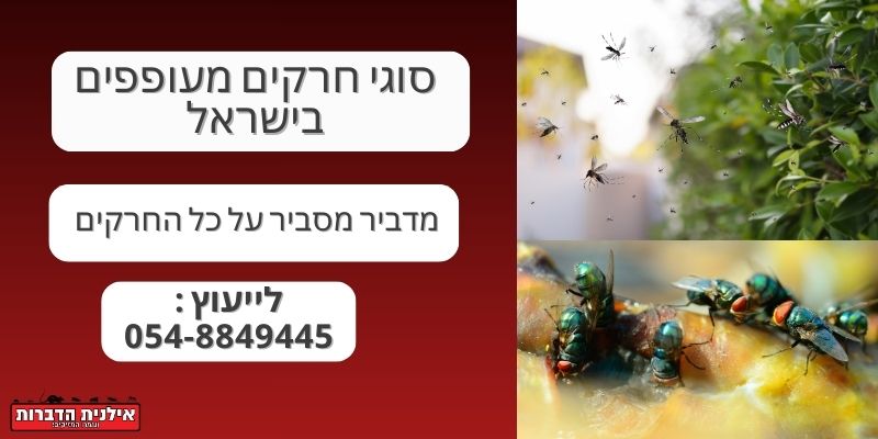 סוגי חרקים מעופפים בישראל