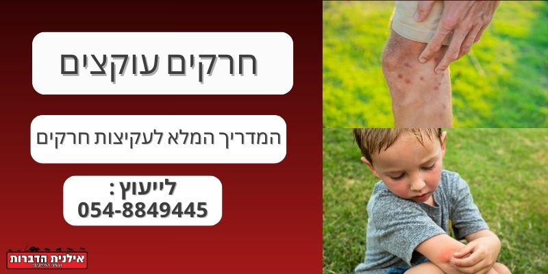 עקיצות חרקים