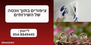 ציפורים בוונטה