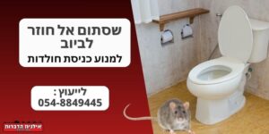 שסתום אל חוזר לביוב
