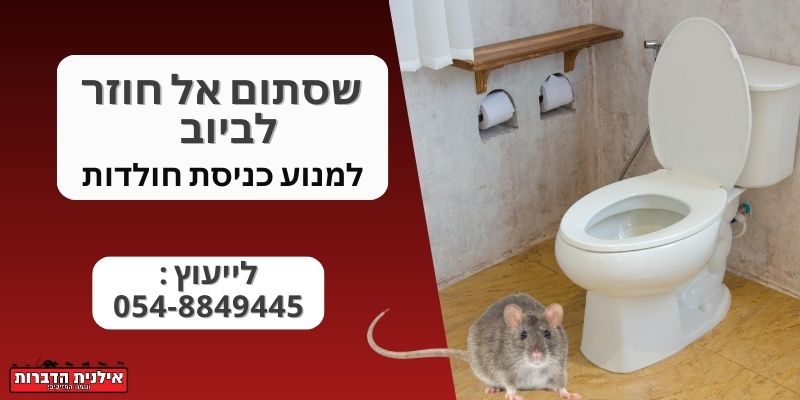 שסתום אל חוזר לביוב