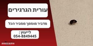 הדבר עורית הגרגרים