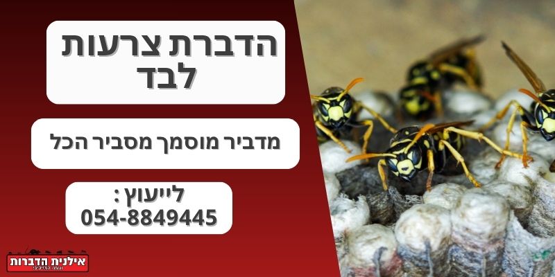 הדברת צרעות לבד