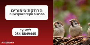 הרחקת ציפורים