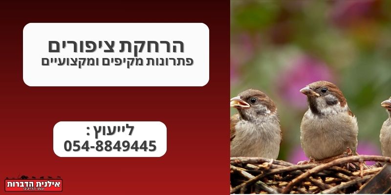 הרחקת ציפורים