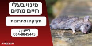 פינוי בעלי חיים מתים