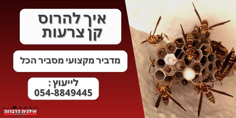 איך להרוס קן צרעות