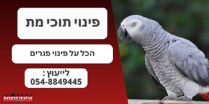 פינוי תוכי מת