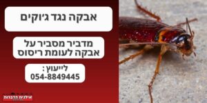 אבקה נגד ג׳וקים