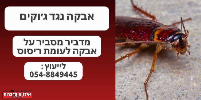 אבקה נגד ג׳וקים