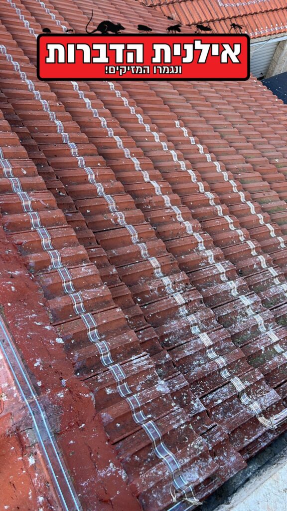 פס חשמלי נגד ציפורים ויונים