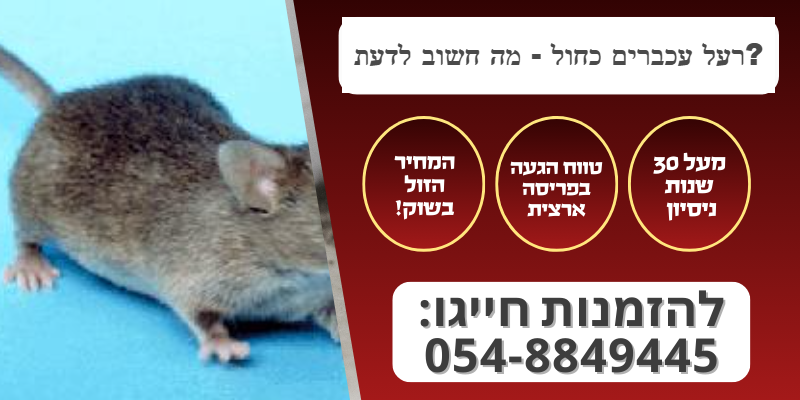 רעל עכברים כחול - מה חשוב לדעת לפני שמפזרים רעל